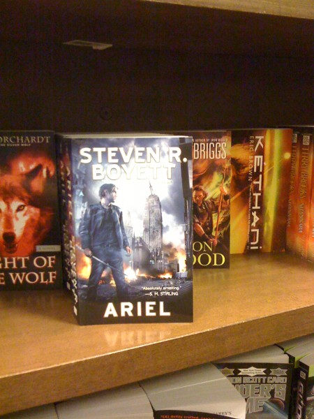 ariel_shelf02